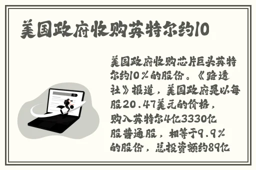 菠萝视频网页版入口